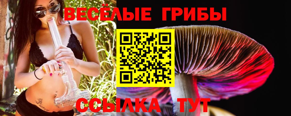 Галлюциногенные грибы GOLDEN TEACHER  Вход с VPN  Петрозаводск 