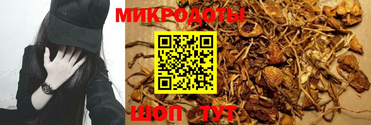 Псилоцибиновые грибы MAGIC MUSHROOMS Петрозаводск